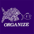 Do You Even Organize?